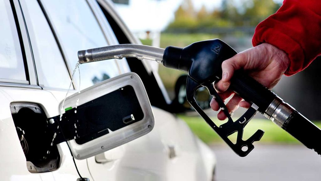 EU väntas förbjuda bensinbilar från 2035