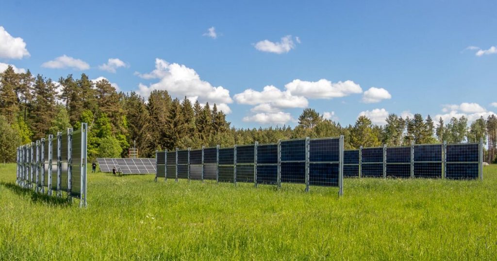 L'energia solare produce dieci volte di più delle foreste energetiche