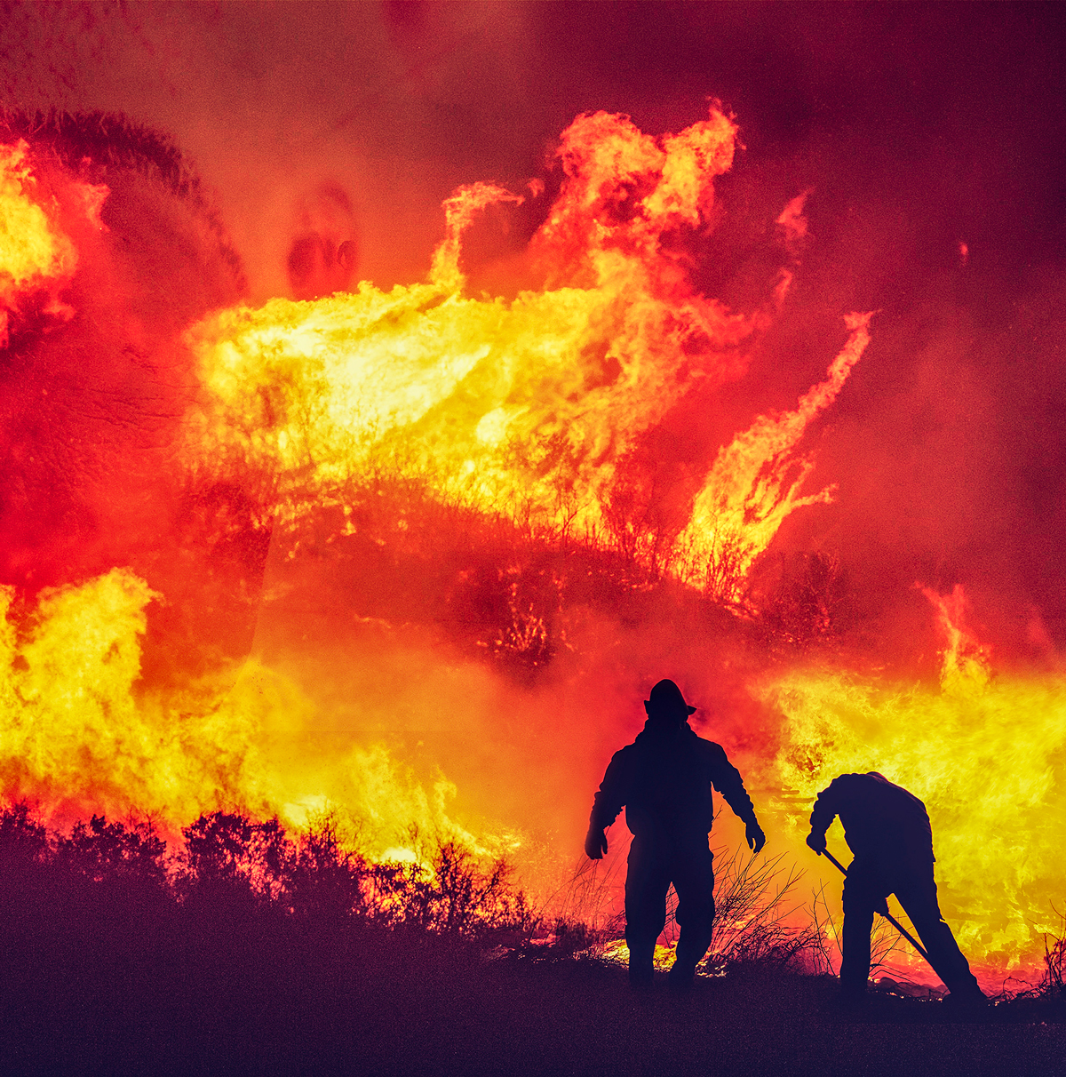 World burns. Пожар в Тростянце. Стихийное бедствие пожар.