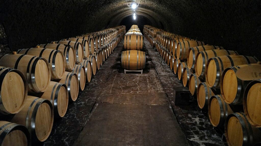 Record di produzione vinicola francese dopo il gelo