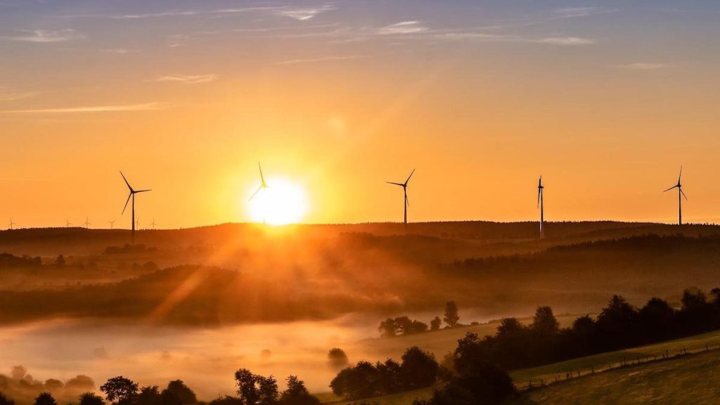 Rekordtillväxt väntar energikällor som sol och vind