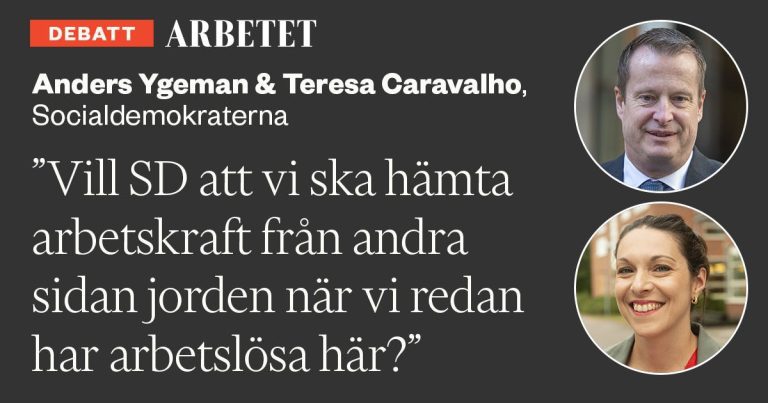 SD dovrebbe vergognarsi se non vota sì alla nostra proposta di test del mercato del lavoro – Arbetet