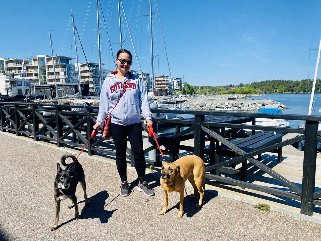 mentre esci.  Silvia Nardi esce con i cani Tommy e Xavi