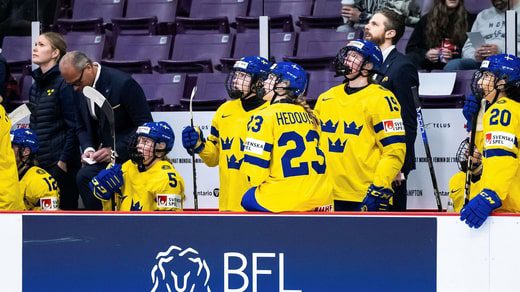 Si è conclusa la Coppa del Mondo di hockey 2023. La Svezia è al sesto posto e, nonostante abbia perso nell'ultima partita, è stato un passo avanti.
