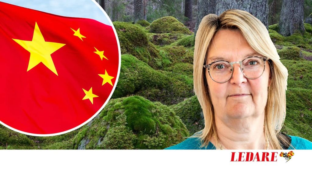 La Cina dovrebbe essere autorizzata ad acquistare le foreste svedesi?