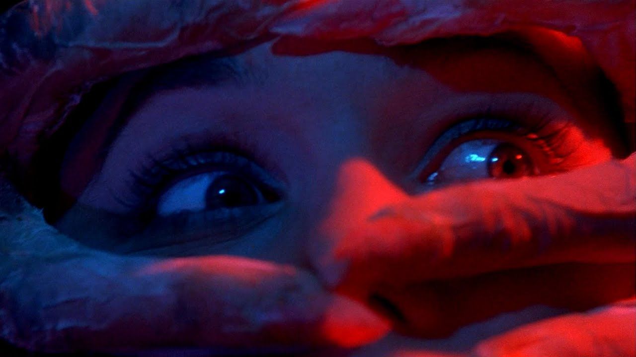  10 film di Dario Argento che avresti dovuto vedere |  MovieZine

