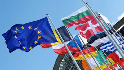 Bandiere degli stati membri dell'Unione Europea.