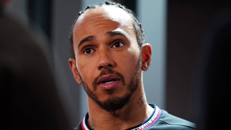 La critica di Lewis Hamilton: “È terribile dimostrarlo” |  Formula 1