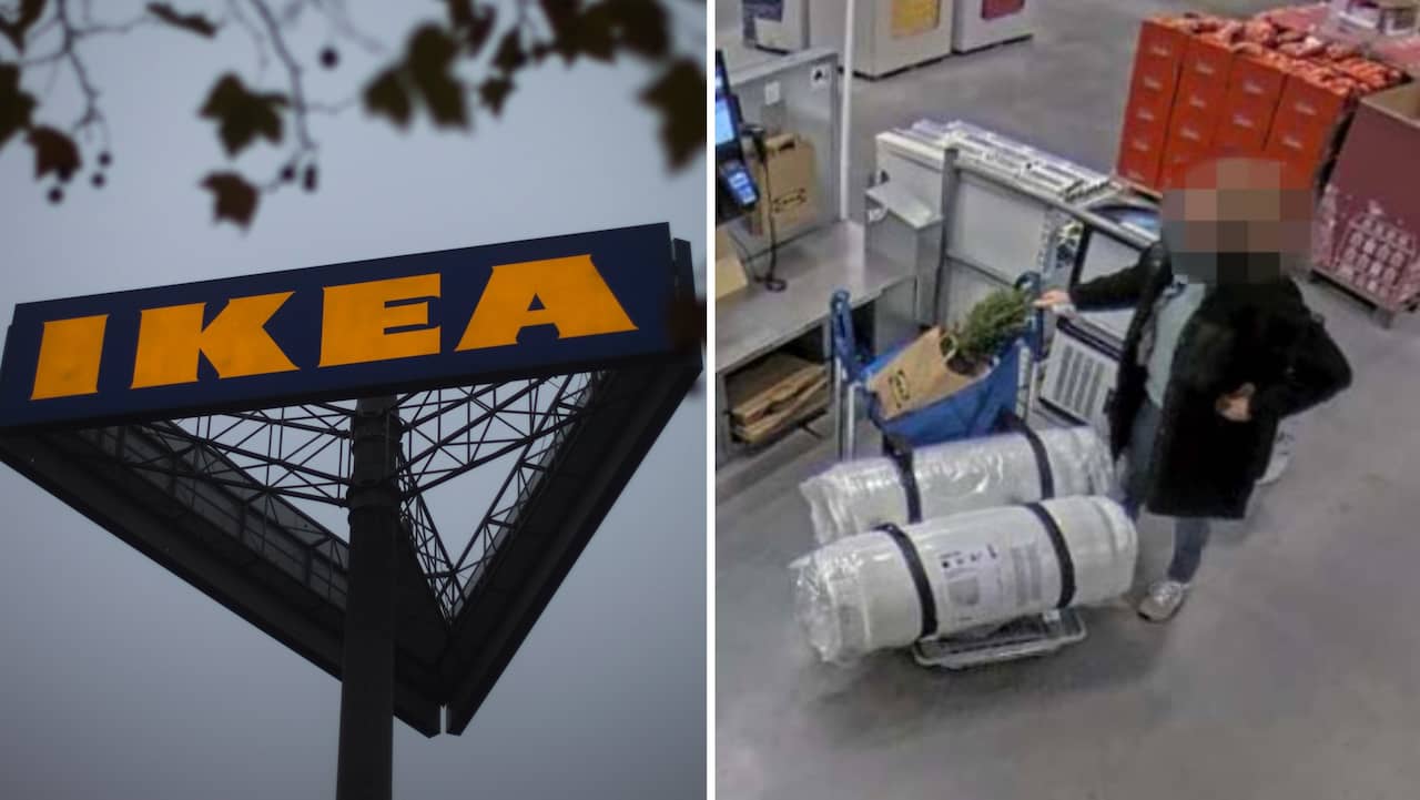 Una donna è stata colta in flagrante mentre rubava in un negozio IKEA

