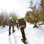 I dipendenti dell'Agenzia forestale norvegese combattono i venti proteggendo le foreste
