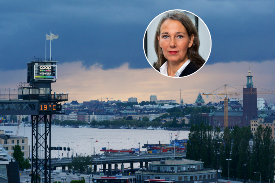 Hushållen och företagen behöver flera sänkningar från Riksbanken - Annika Winsth