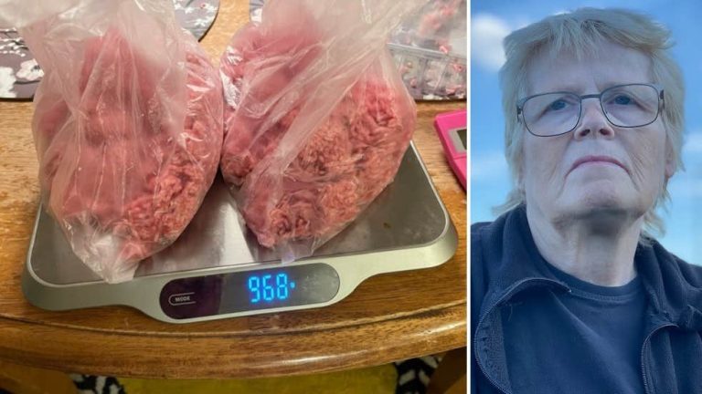  Jane, 61 anni, ha comprato carne macinata da Ika - ha preso 1/2 kg molto poco |  Svezia

