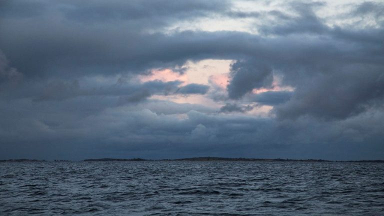 Un altro presidente lascia la Fondazione del Mar Baltico dopo il conflitto